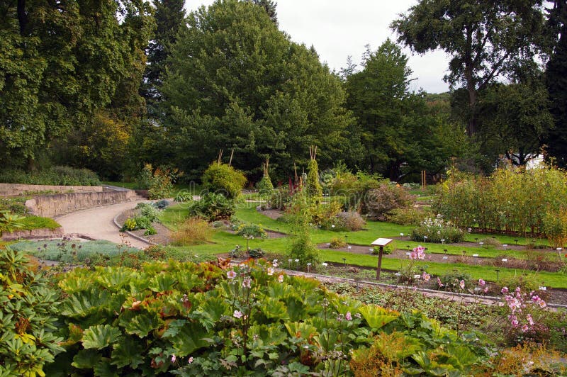 Botanischer Garten, Oslo. stockfoto. Bild von europa 34088876