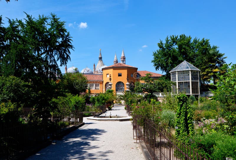 Botanischer Garten, Padua, Italien Stockfoto - Bild von draußen