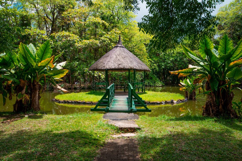 Riesige Seerose In Botanischem Garten Pamplemousse Insel Mauritius