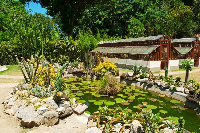 Botanischer Garten In Rio De Janeiro Redaktionelles Foto