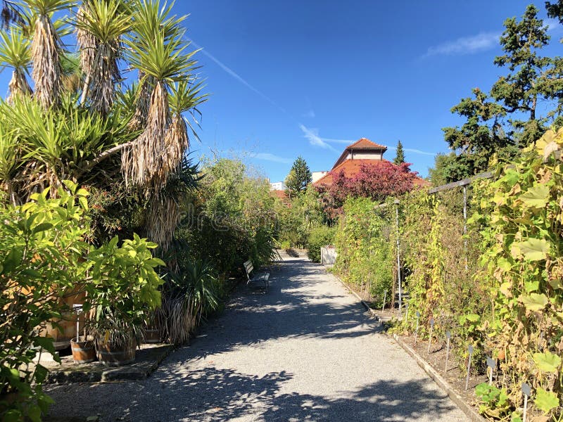 Botanischer Garten St Gallen Oder Der Botanische Garten St Gallen Der