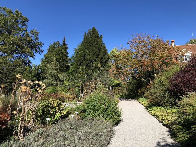 Botanischer Garten St Gallen Oder Der Botanische Garten St Gallen Der