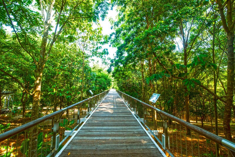 BOTANISCHER GARTEN TAMAN BOTANI PUTRAJAYA Redaktionelles Stockfoto