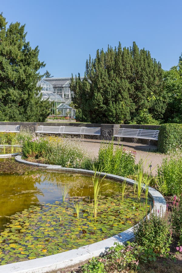 Botanischer Garten Von Berlin Mit Teich Und Gewächshaus Stockfoto