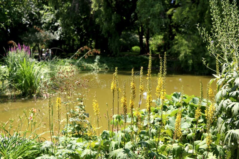 Botanischer Garten in Zagreb, Kroatien stockfotografie Botanischer Garten in Zagreb, Kroatien stockfotografie