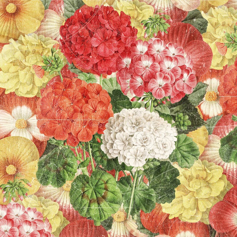 Botanisk blom- bakgrund för tappning royaltyfri illustrationer