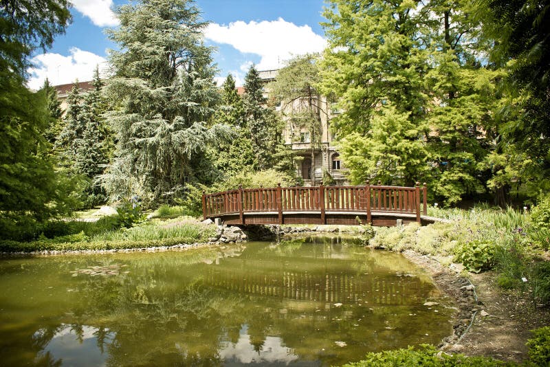 botanisk broträdgårdlake zagreb royaltyfria foton botanisk broträdgårdlake zagreb royaltyfria foton