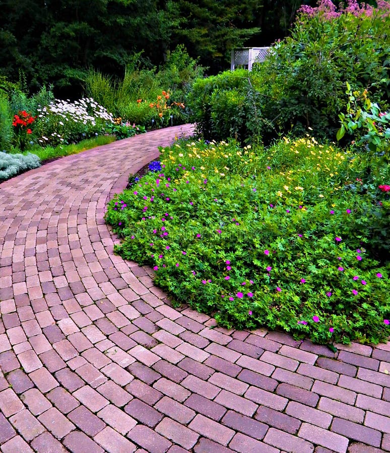Botanisk krökning royaltyfri bild Botanisk krökning royaltyfri bild