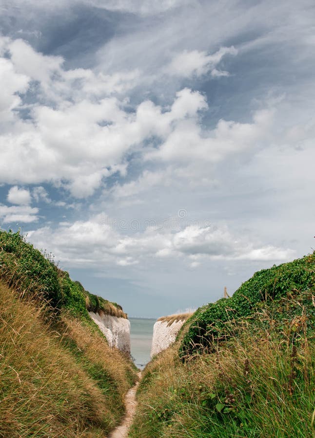 Botany bay stock image. Image of grassland, coast, bank 43214301