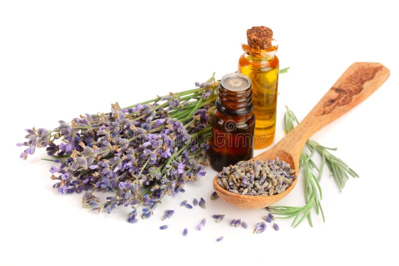 Botella con las flores del aceite y de la lavanda del aroma aisladas en el fondo blanco imagen de archivo libre de regalías Botella con las flores del aceite y de la lavanda del aroma aisladas en el fondo blanco imagen de archivo libre de regalías