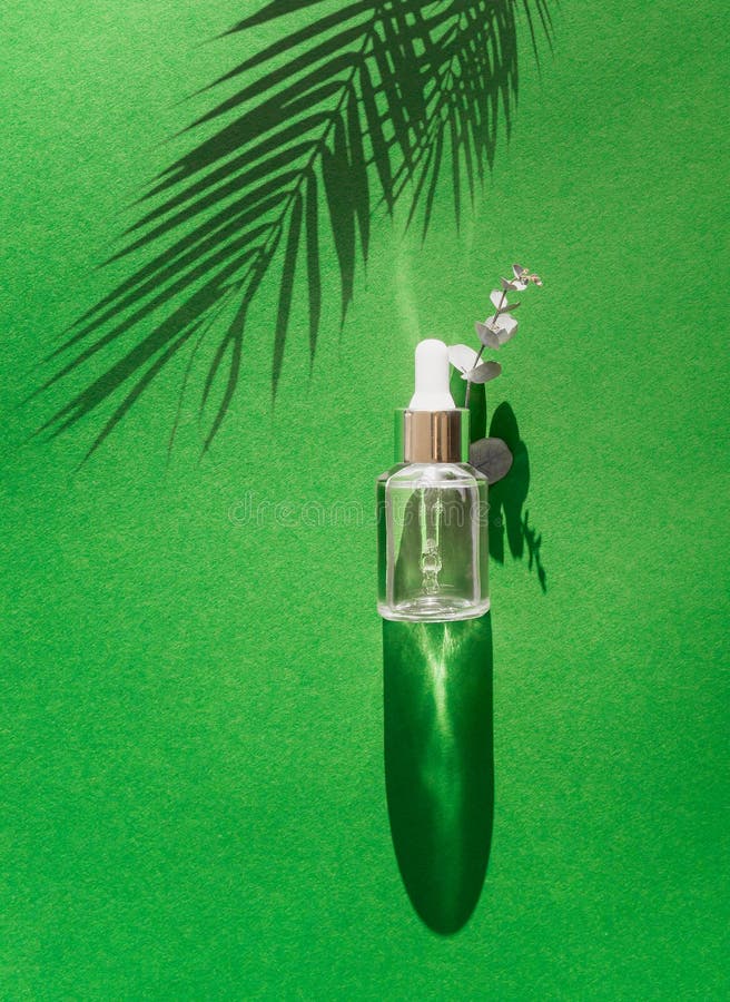 Botella cosmética transparente con la situación de la pipeta en la tabla verde con la sombra de las hojas de palma Concepto facia foto de archivo Botella cosmética transparente con la situación de la pipeta en la tabla verde con la sombra de las hojas de palma Concepto facia foto de archivo