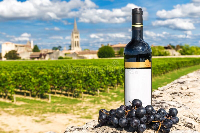 Botella de vino rojo contra la perspectiva de los viñedos de Saint Emilion, Burdeos, Francia imágenes de archivo libres de regalías