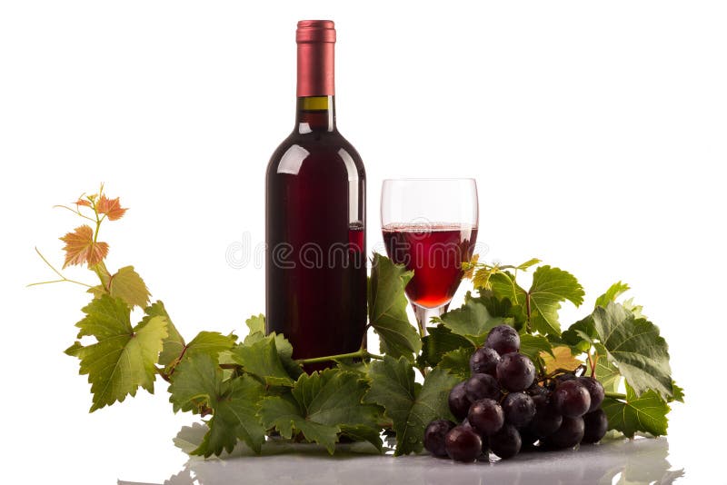 Botella y vidrio de vino rojo con las uvas y las hojas en el fondo blanco fotos de archivo libres de regalías Botella y vidrio de vino rojo con las uvas y las hojas en el fondo blanco fotos de archivo libres de regalías