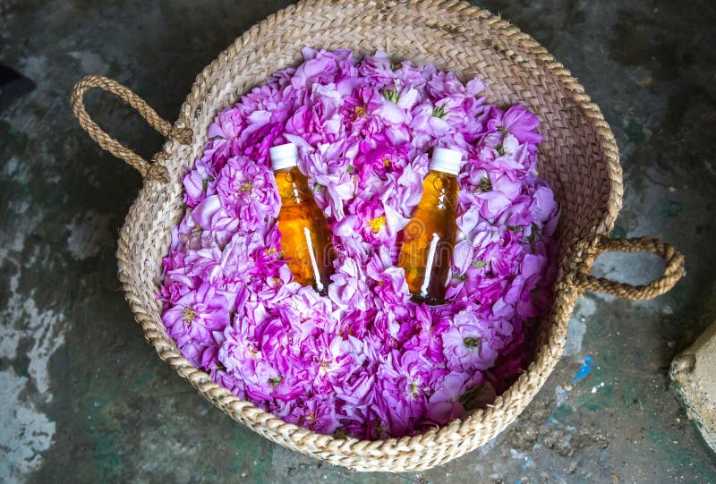 Botellas de agua de Rose dentro de una cesta de pétalos color de rosa fotografía de archivo libre de regalías