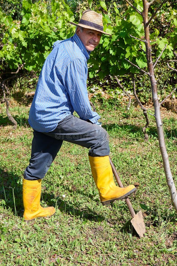 Bottes jaunes d'agriculteur fonctionnant le gisement de pelle image stock Bottes jaunes d'agriculteur fonctionnant le gisement de pelle image stock