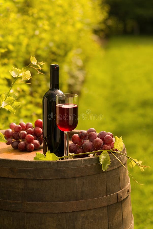 Bottiglia, bicchiere di vino ed uva del vino rosso in vigna fotografie stock Bottiglia, bicchiere di vino ed uva del vino rosso in vigna fotografie stock