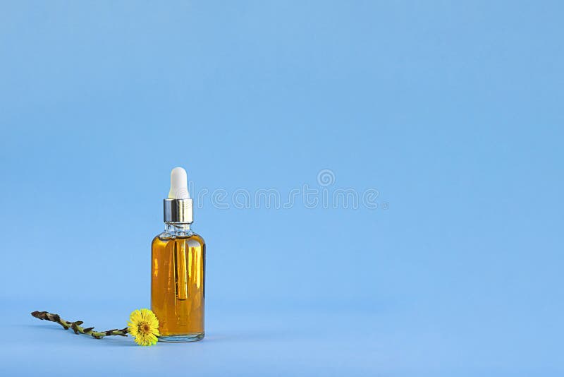 Bottiglia di vetro del modello con essenza d'arancio ed i fiori del foalfoot dell'erba di guarigione o farfara del Tussilago sul fotografia stock libera da diritti Bottiglia di vetro del modello con essenza d'arancio ed i fiori del foalfoot dell'erba di guarigione o farfara del Tussilago sul fotografia stock libera da diritti