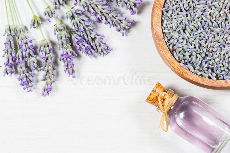 Bottiglia di vetro dell'olio essenziale della lavanda con i fiori freschi della lavanda ed i semi secchi della lavanda sulla tavo immagini stock libere da diritti Bottiglia di vetro dell'olio essenziale della lavanda con i fiori freschi della lavanda ed i semi secchi della lavanda sulla tavo immagini stock libere da diritti