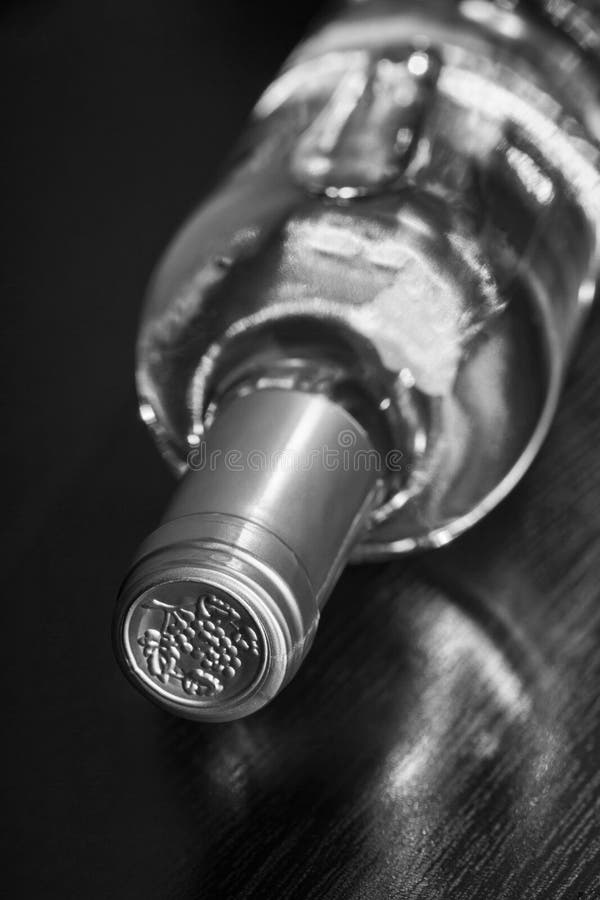 Bottiglia di vino bianco asciutto immagini stock Bottiglia di vino bianco asciutto immagini stock