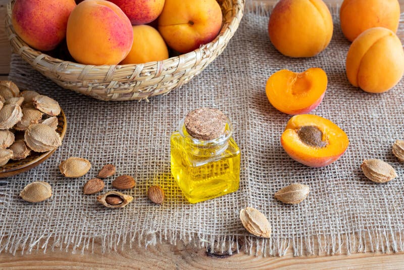 A Bottle of Apricot Kernel Oil with Fresh Apricots Stock Image Image