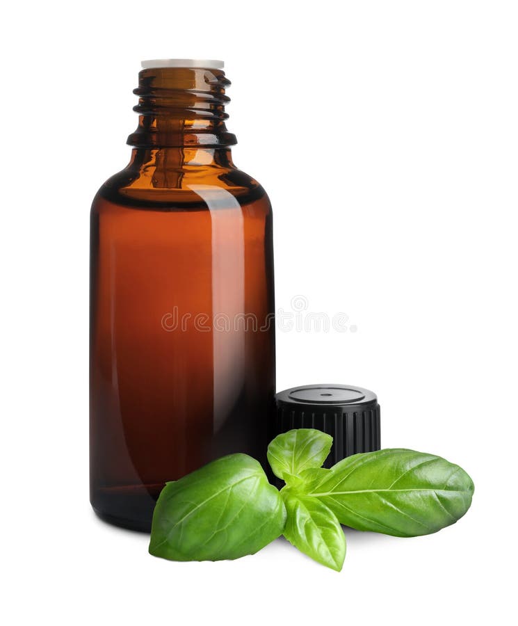 Bottle of Basil Essential Oil and Green Leaves on White Background Stock Photo Image of