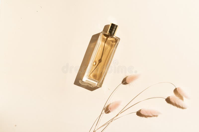 a bottle of beige perfume and decorative spikelets on a sand-colored background. Minimalistic Beauty art still life.