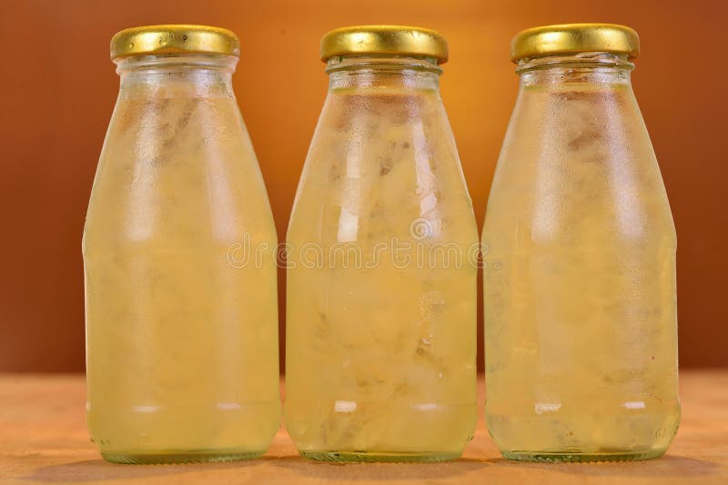 Bottle bird s nest stock photo. Image of nourishment 49413116