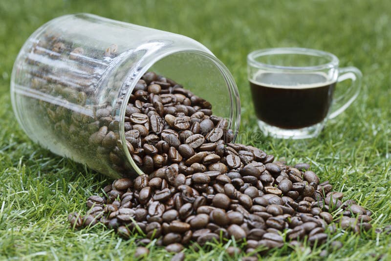 Bottle of coffee bean stock image. Image of aroma, java 58221731