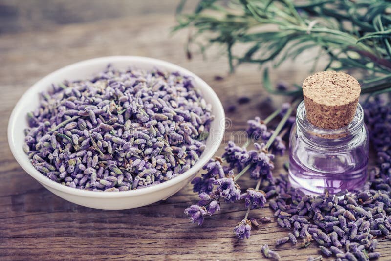 Bottle of essential oil and lavender flowers in bowl