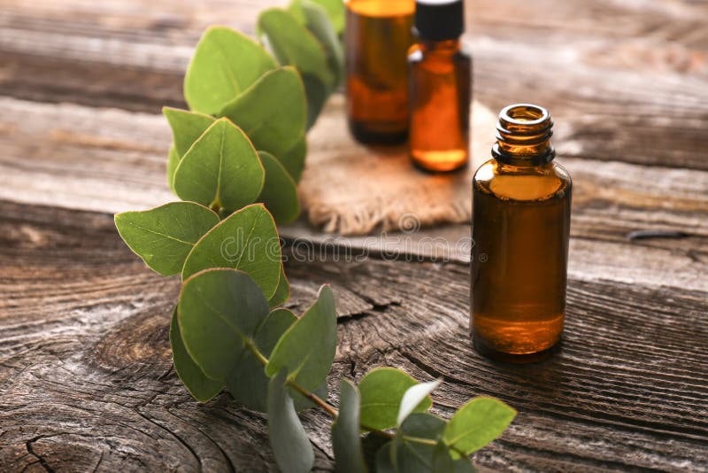 Bottle of Eucalyptus Essential Oil on Wooden Background Stock Photo ...