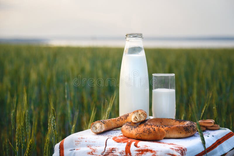 Bottle and glass of milk with bread and bagels at small table in green field