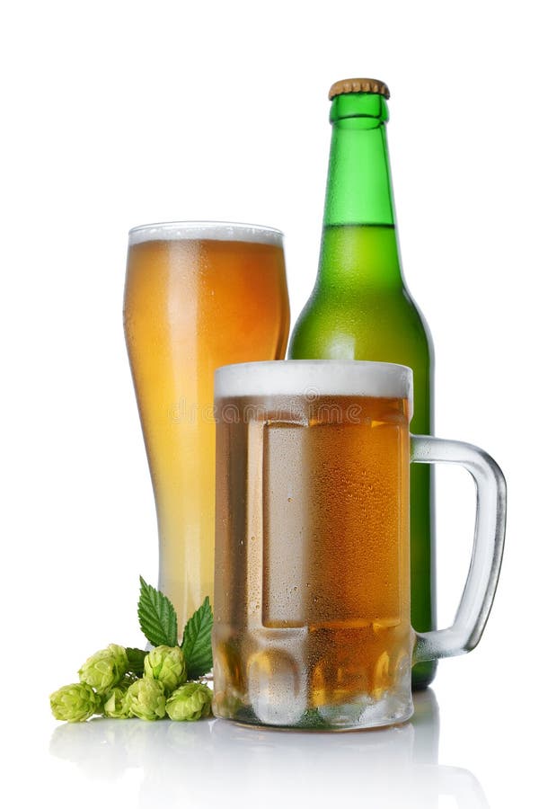Bottle and Glasses of Cold Light Beer with Foam and Green Hops Stock Photo Image of close