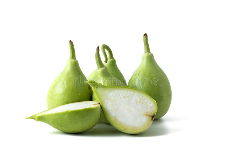 Bottle gourd or calabash stock photo. Image of summer 84244086