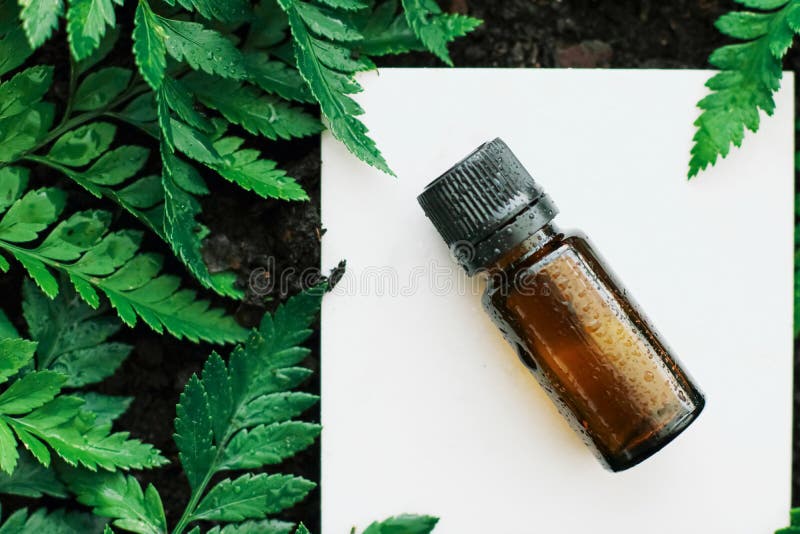 Bottle of herbal essential oil in a green tropical garden, natural scent and organic cosmetics royalty free stock image Bottle of herbal essential oil in a green tropical garden, natural scent and organic cosmetics royalty free stock image
