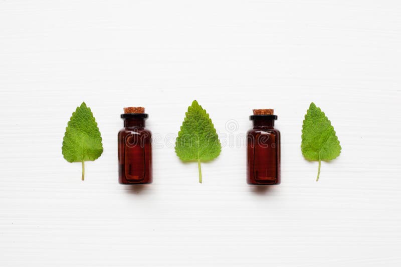 A bottle of melissa lemon balm essential oil with fresh leaves. royalty free stock image A bottle of melissa lemon balm essential oil with fresh leaves. royalty free stock image