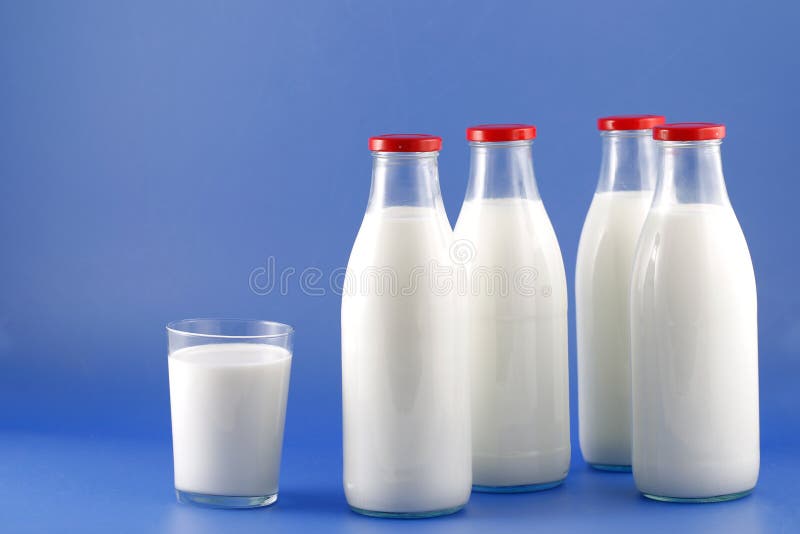 Bottle of milk, cow stock photo. Image of dairy, drink 165600802