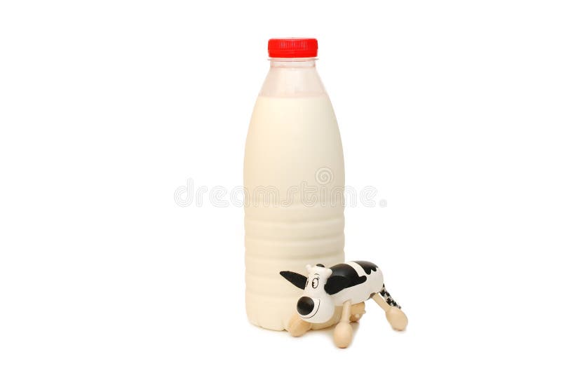 Milk Pot Farmer Hand Cow in Meadow Stock Photo Image of hand, bovine