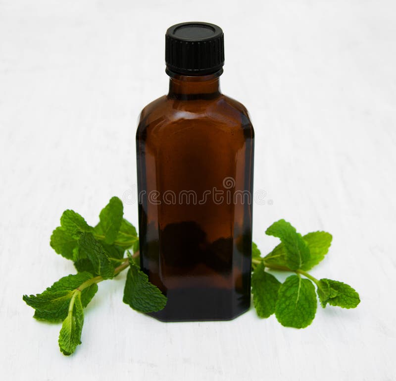 Mint Oil and Fresh Mint in Mortar Stock Image Image of beauty
