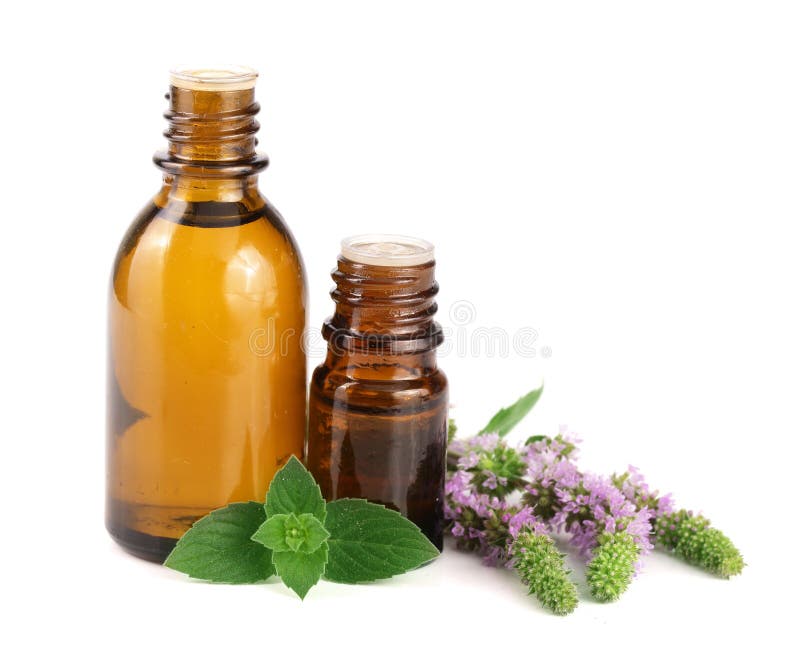 Bottle of Peppermint Oil and Fresh Mint Isolated on White Background