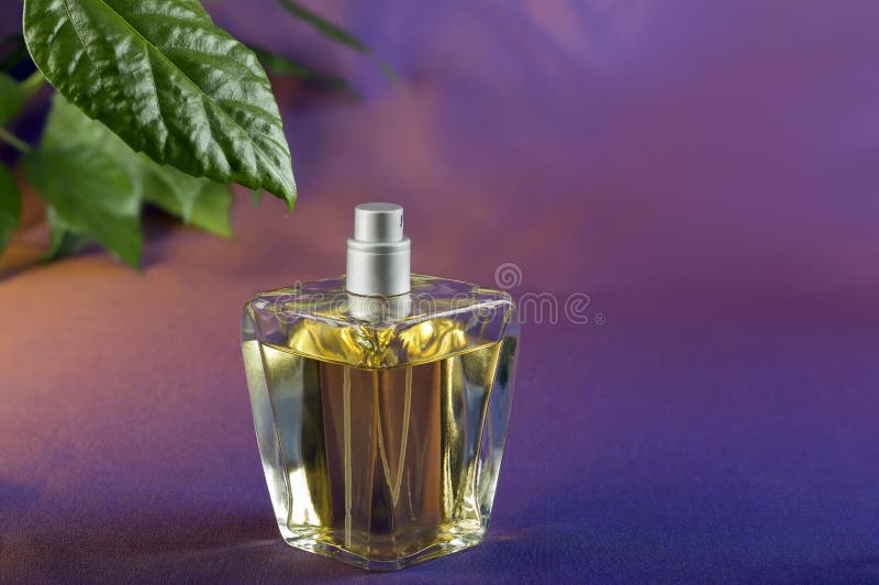 Bottle of perfume