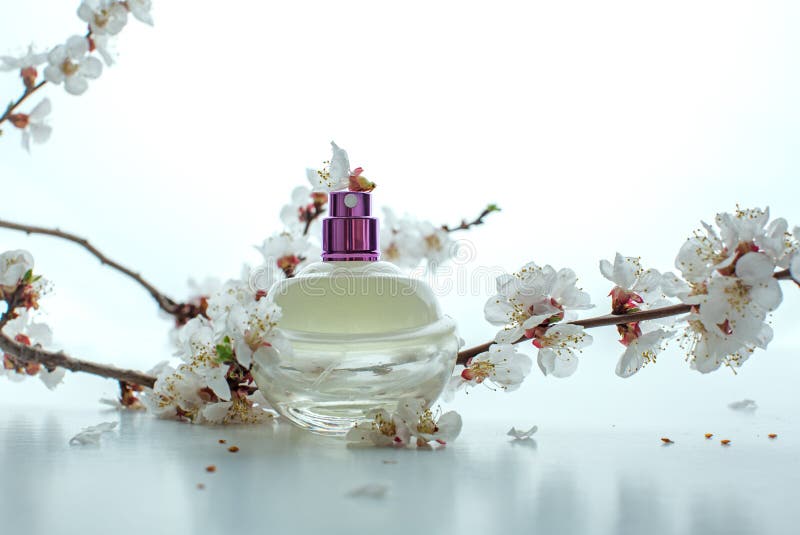 Bottle of Perfume with Apricot Blossom Stock Photo Image of beautiful