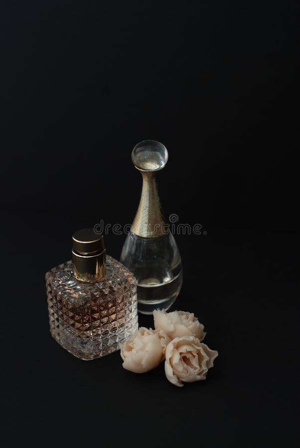750 Perfume Roses Black Background Stock Photos Free & RoyaltyFree