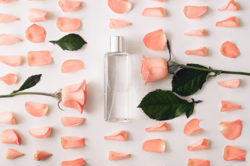 Bottle of perfume with flowers of roses on a white background. Overhead top view, flat lay stock photo Bottle of perfume with flowers of roses on a white background. Overhead top view, flat lay stock photo