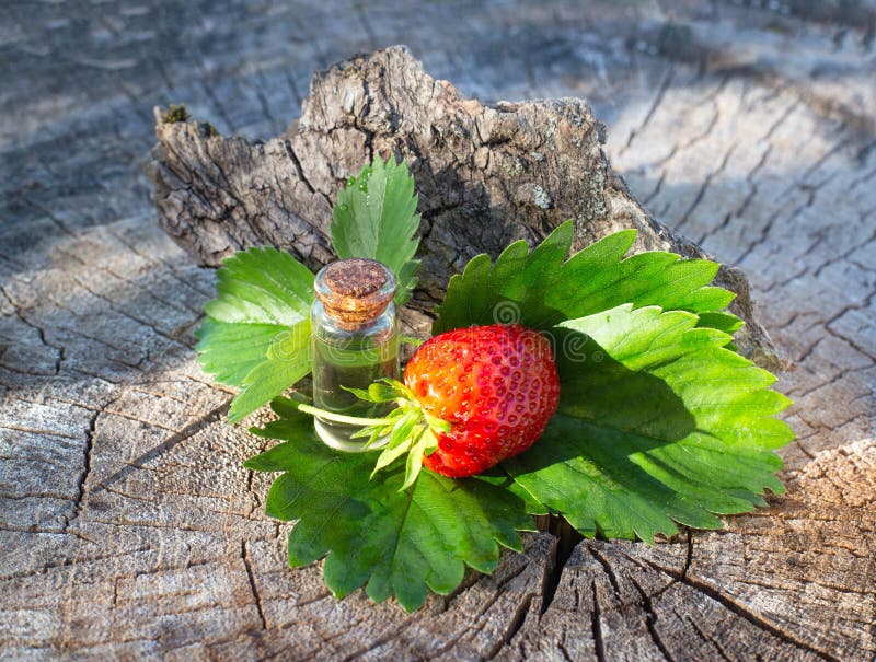 Bottle with Perfume from Strawberry Essential Oil on a Wooden Background.  Aromatherapy and Cosmetology Stock Photo - Image of bottle, floral:  189526894