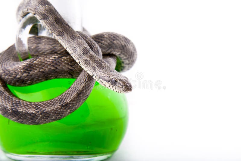 The bottle of poison twisted with a snake-focused