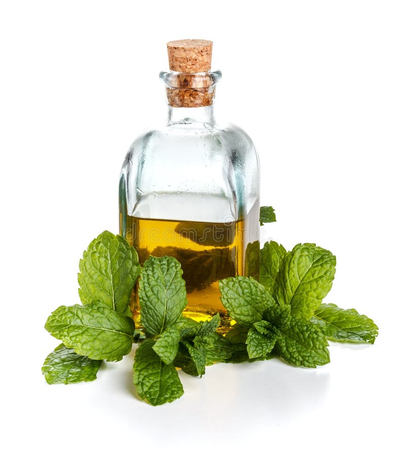 Olive Oil and Mint Leaves on White Stone Background Stock Photo Image