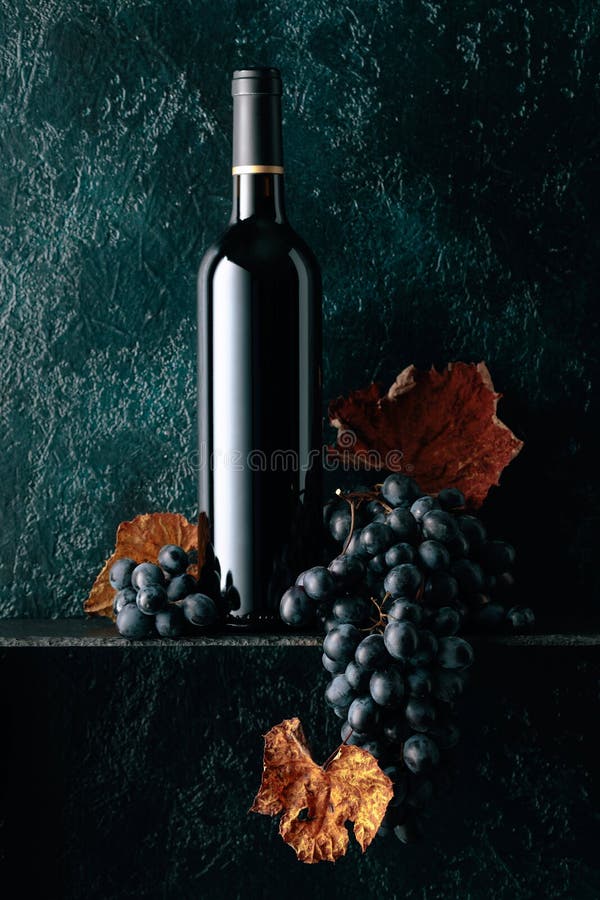 Bottle of Red Wine and Blue Grapes with Dried Up Vine Leaves on an Old