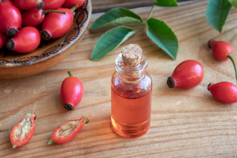 A Bottle of Rose Hip Seed Oil with Fresh Rose Hips Stock Image Image