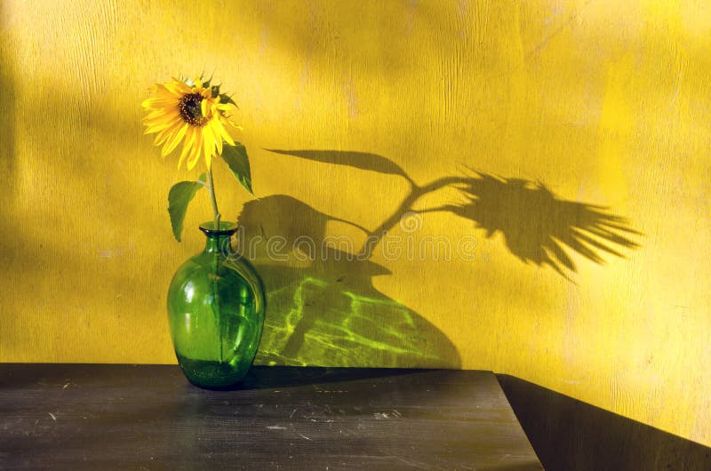 Bottle with sunflower and evening sunlight