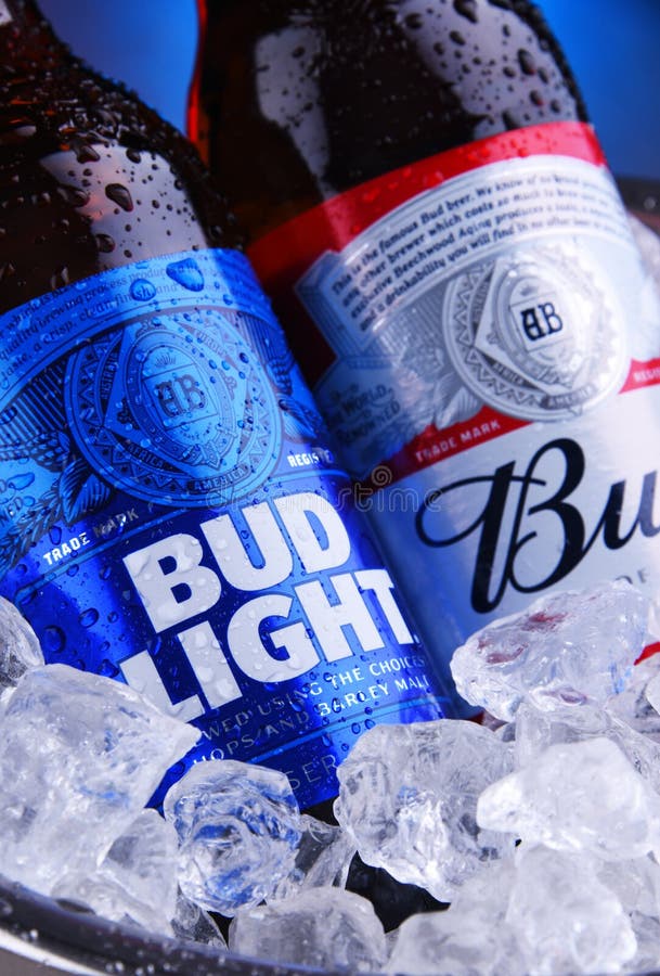 Ice Cold Bottle Of Bud Light Stock Photo - Download Image Now - Bud Light,  Beer - Alcohol, Alcohol - Drink - iStock